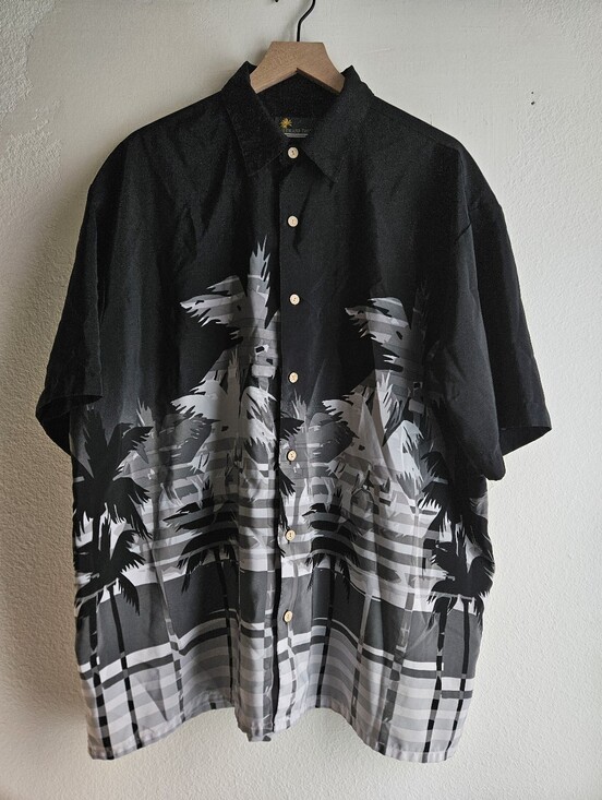 Other - button up shirt